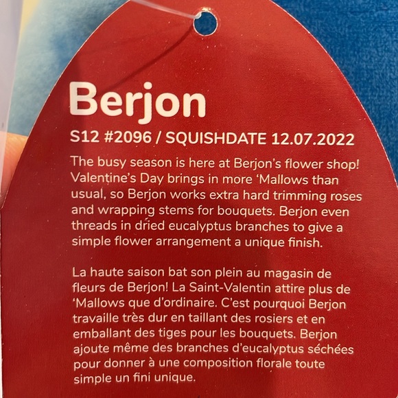 NWT 12” Berjon the Blue Warthog Valentine Squishmallow - Picture 4 of 4